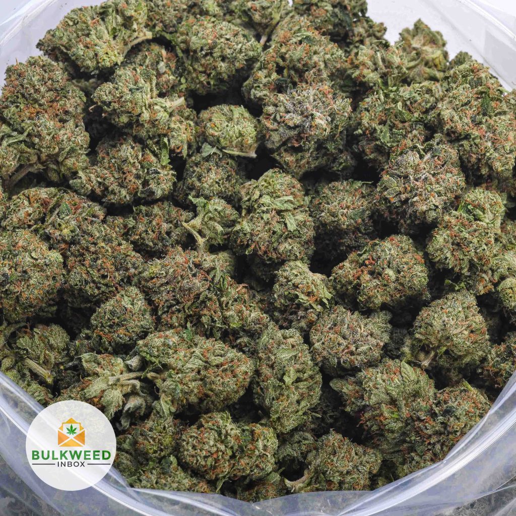 TUNA-KUSH-BBAAAA-2