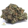 TUNA-KUSH-BBAAAA1-2