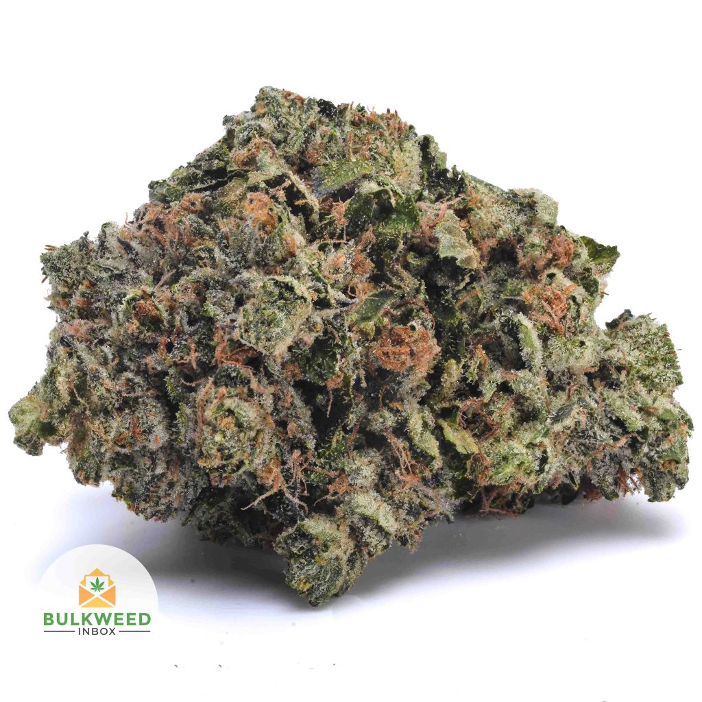 TUNA-KUSH-BBAAAA1-2