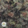 TUNA-KUSH-BBAAAA2-2