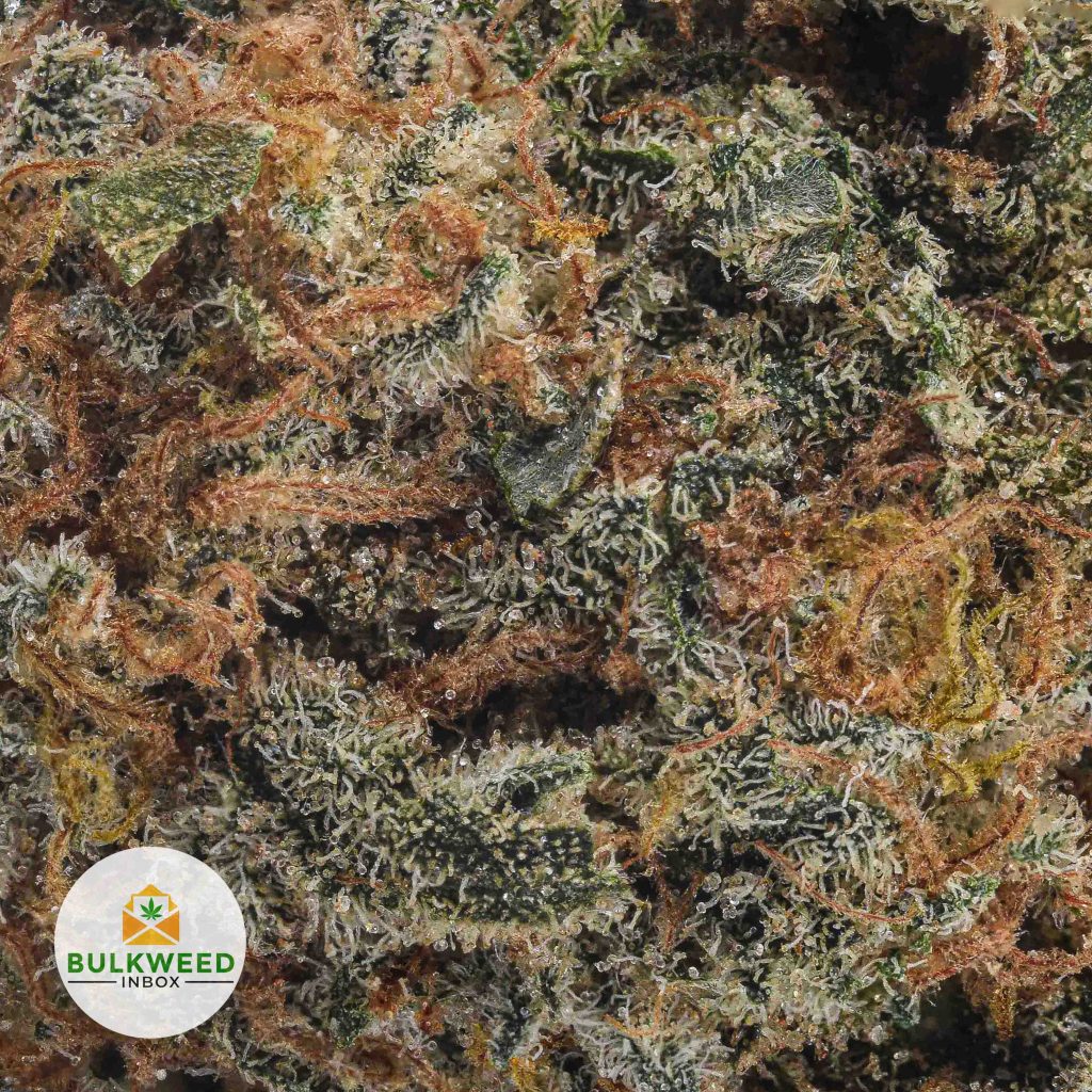 WEDDING-CAKE-AAA2-2