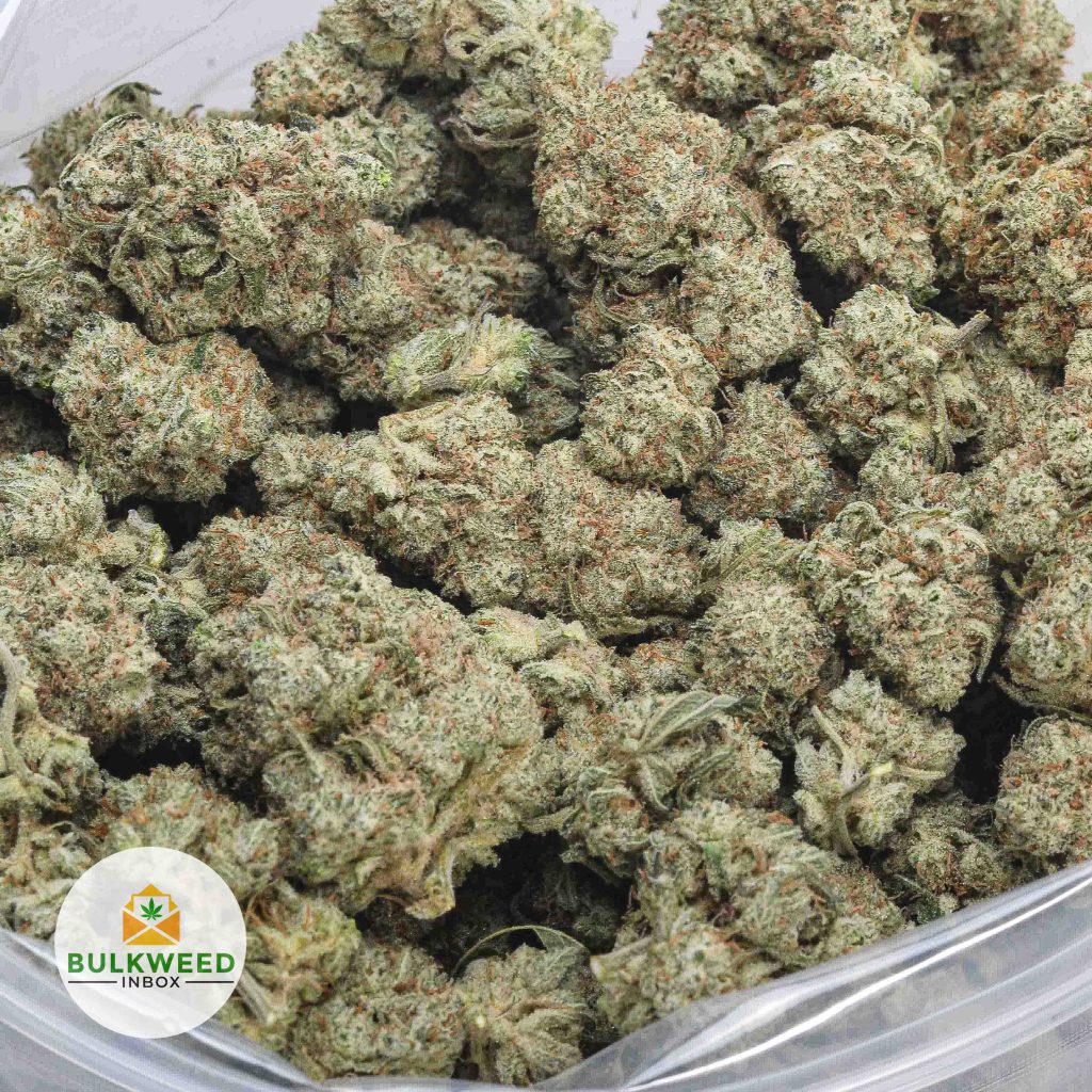 WHITE-WIDOW-AAA-2