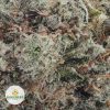 WHITE-WIDOW-AAA2-2