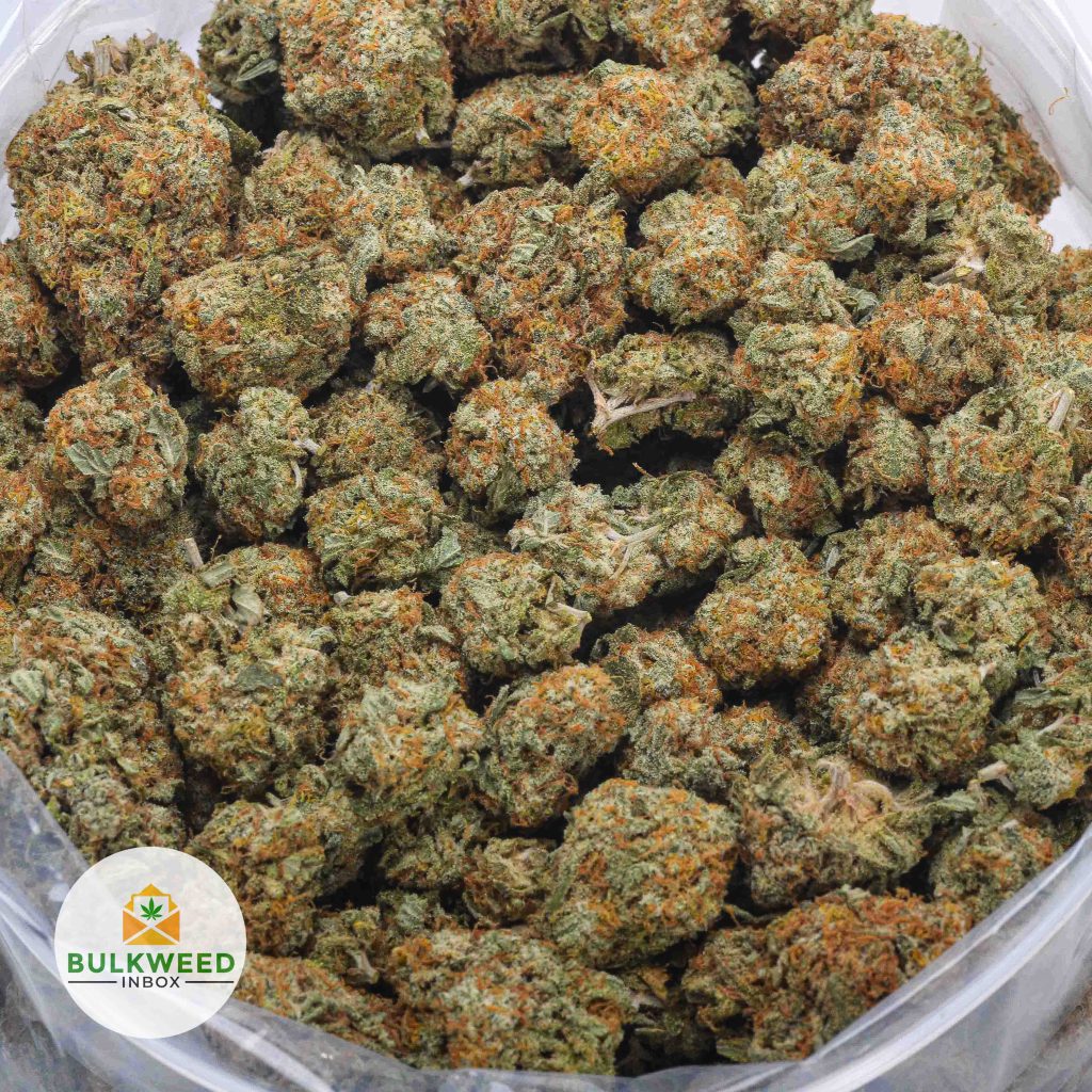 ALASKAN-ICE-AAA