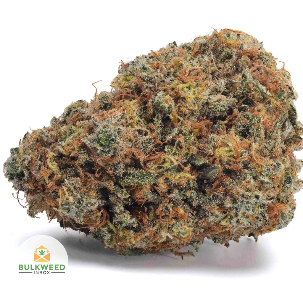 ALASKAN-ICE-AAA1