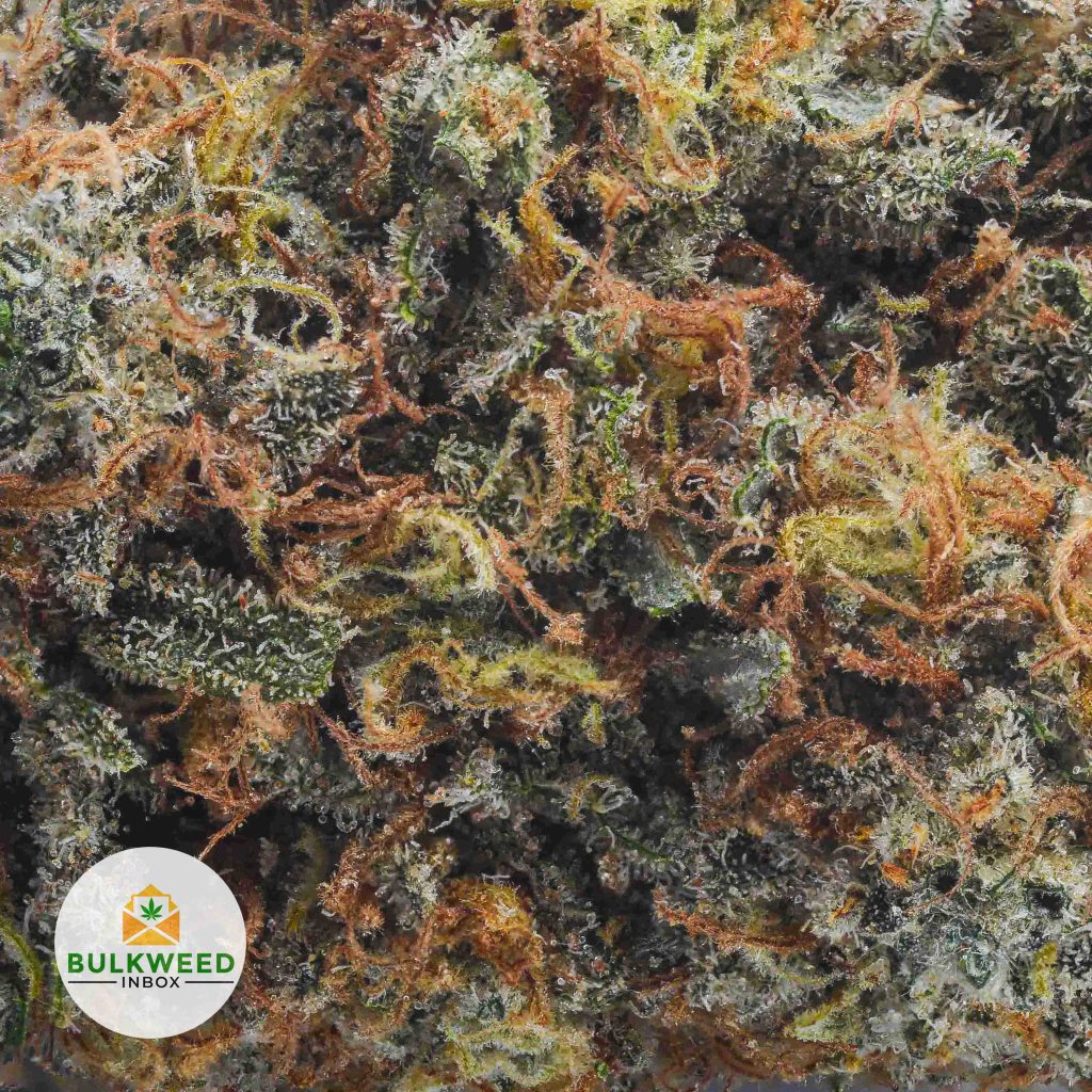 ALASKAN-ICE-AAA2-2