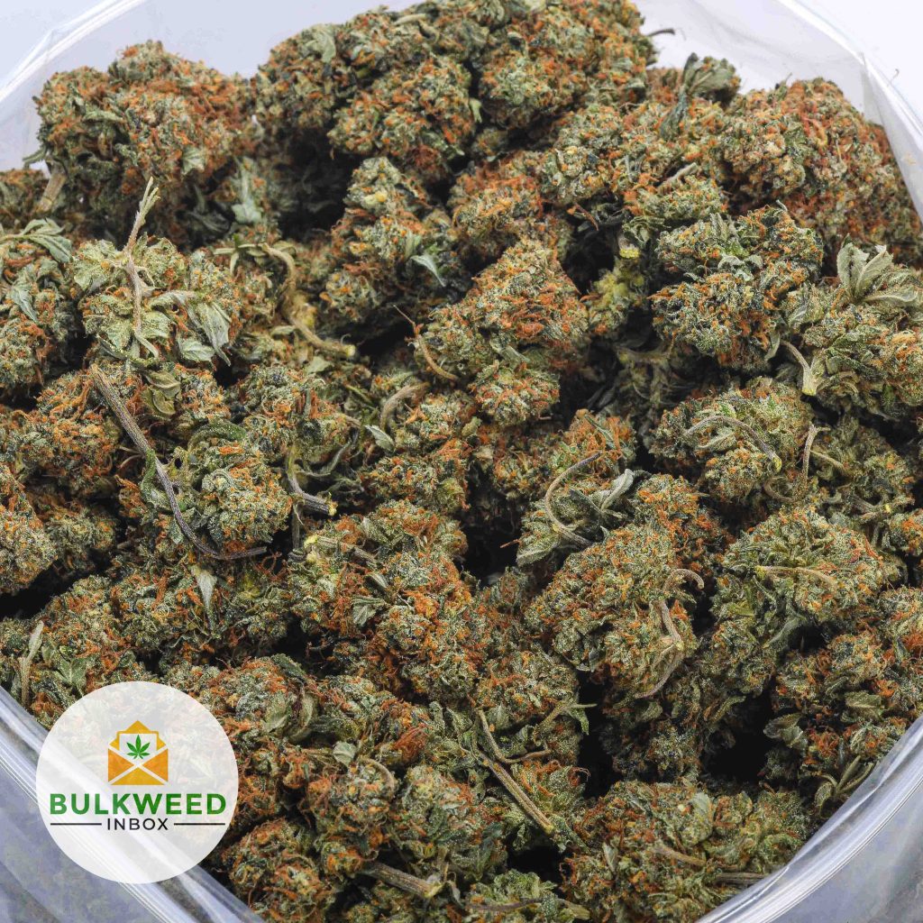 BANANA-KUSH-BB-2