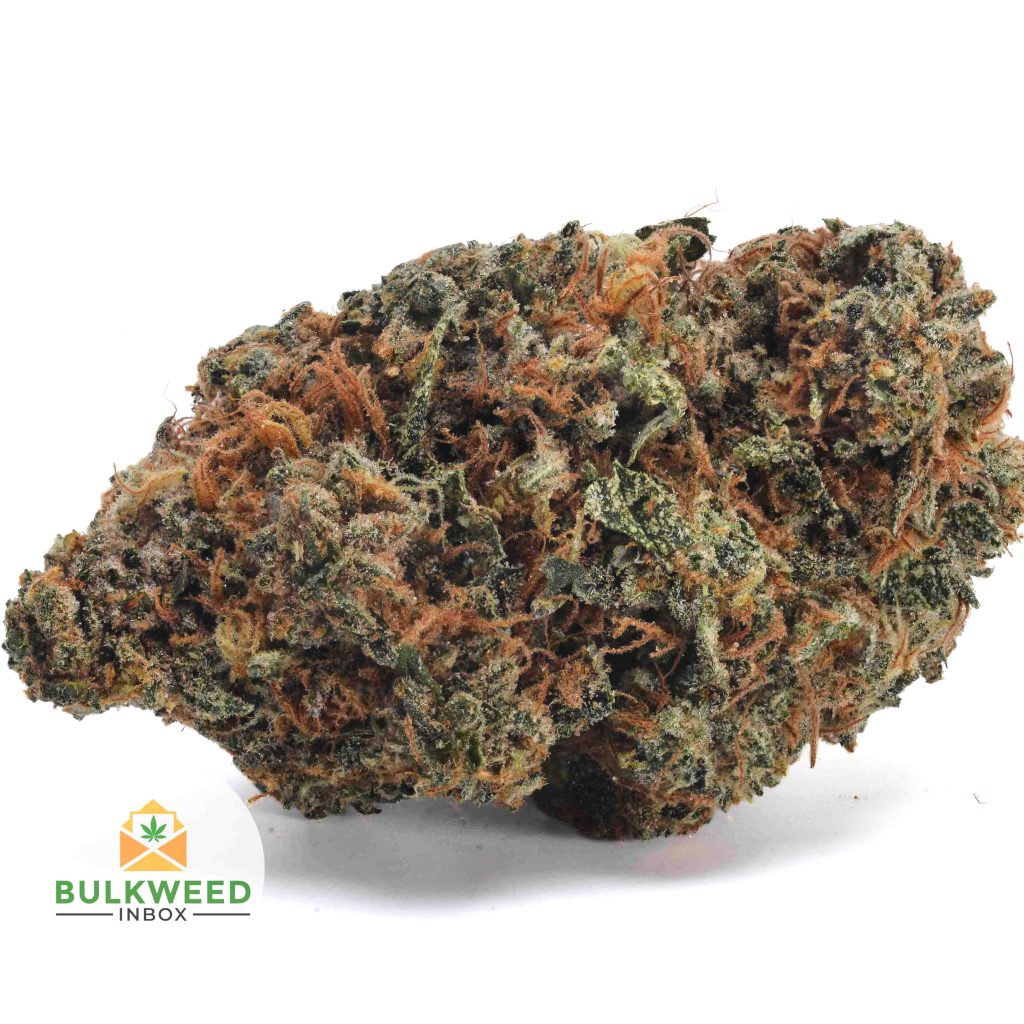 BANANA-KUSH-BB1-2