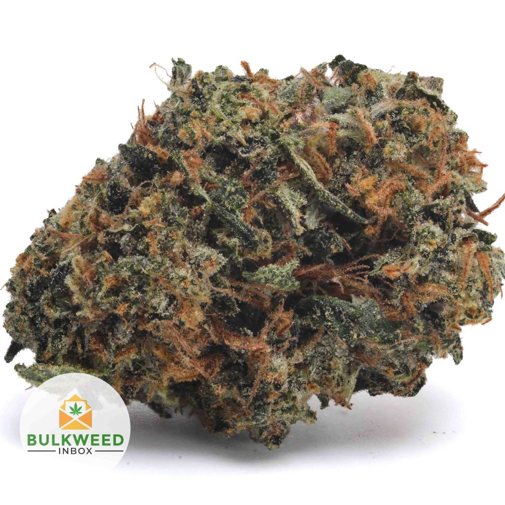 BLACK-GAS-Budget-Bud1-2-2