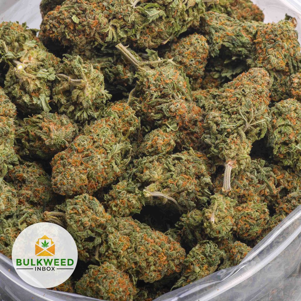 BLUE-DREAM-AAA-2