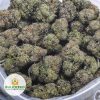 BLUE-FIN-TUNA-KUSH-TYSON-CRAFT-FARMS-AAAA-2