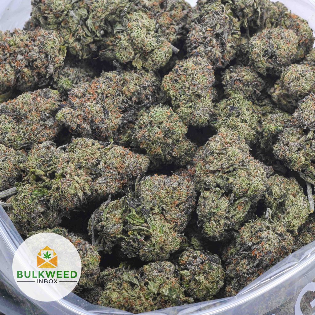 BLUE-FIN-TUNA-KUSH-TYSON-CRAFT-FARMS-AAAA-2