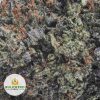 BLUE-FIN-TUNA-KUSH-TYSON-CRAFT-FARMS-AAAA2-2