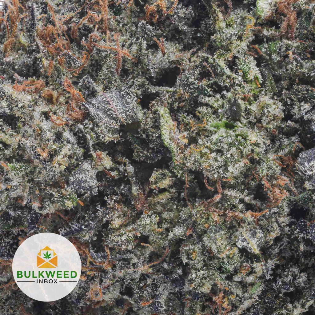 BLUE-FIN-TUNA-KUSH-TYSON-CRAFT-FARMS-AAAA2-2