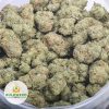 BLUE-KRONIC-Budget-Bud-AAAA-2