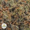 BLUEBERRY-GELATO-AAA2-2