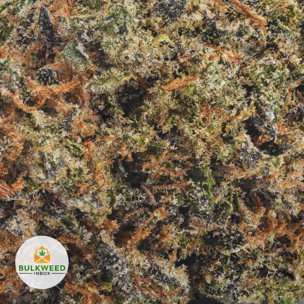 BLUEBERRY-GELATO-AAA2-2
