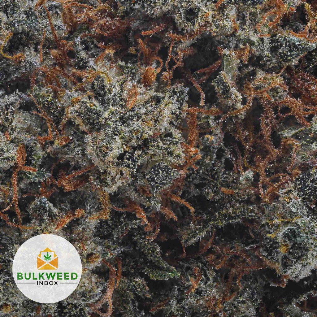 BUBBA-KUSH-BBAAAA2-2