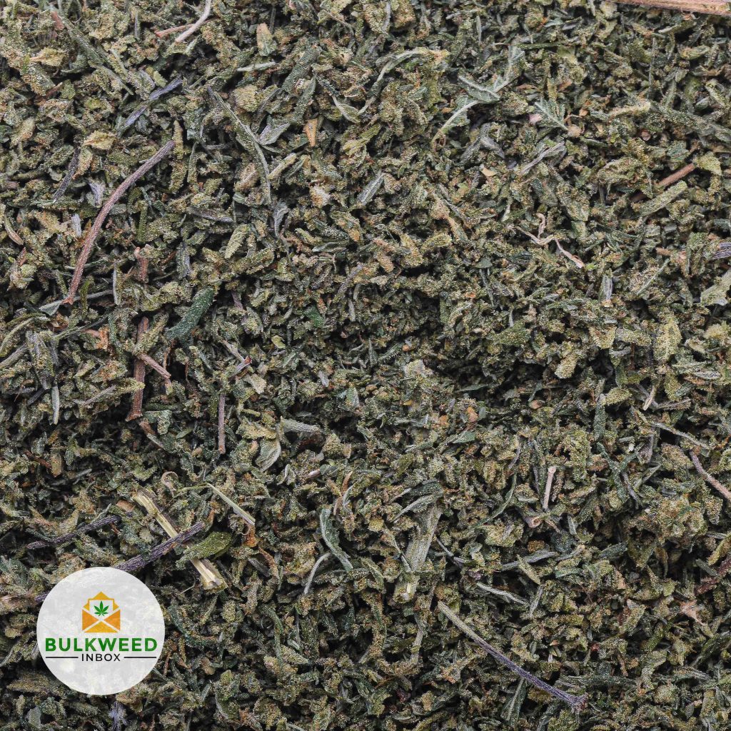 Blueberry-Shake-Weed-