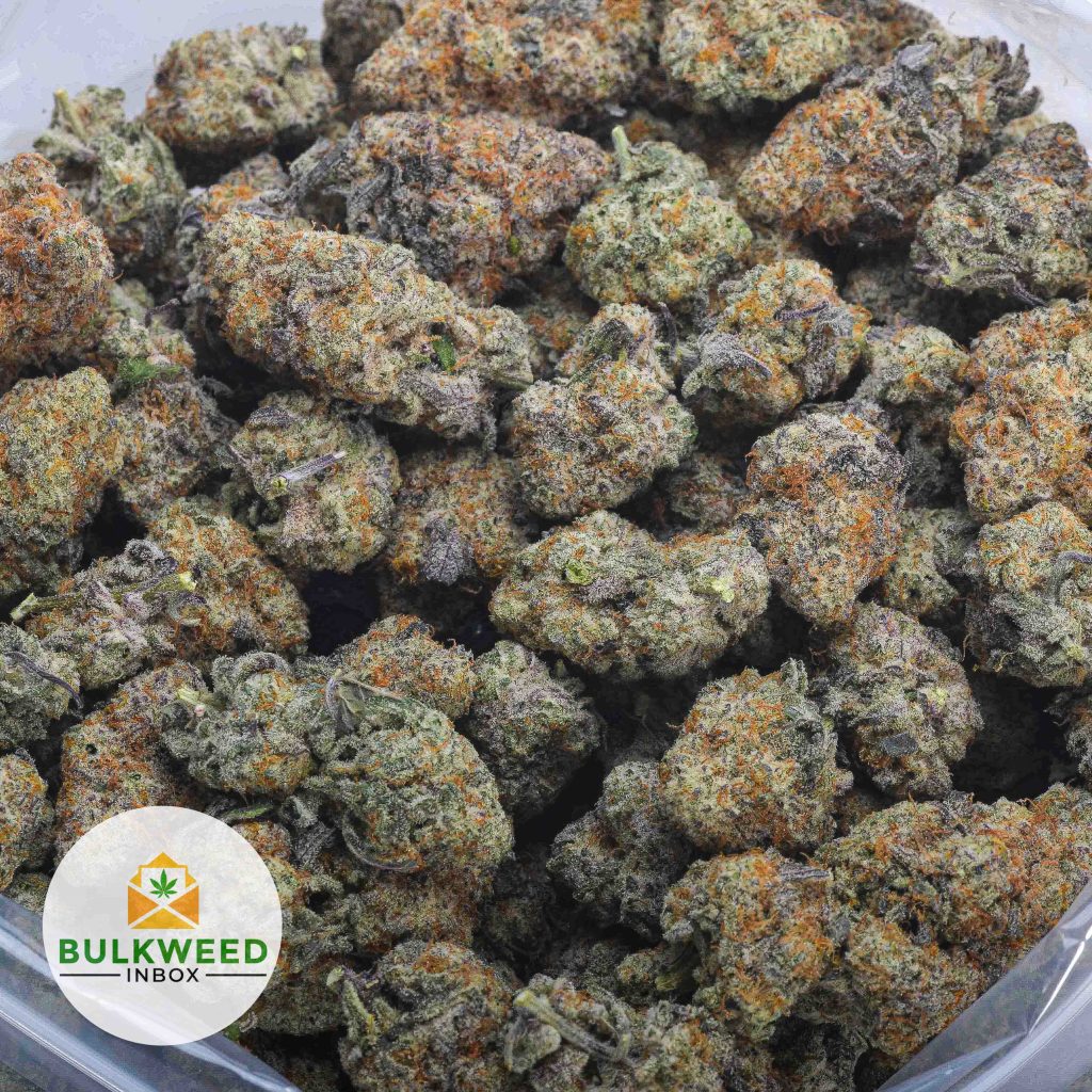 CEREAL-MILK-AAA-2