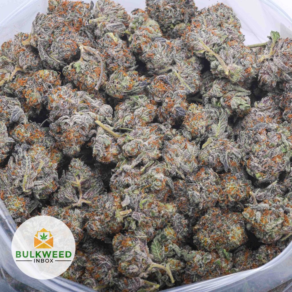CRITICAL-MASS-AAA-2