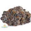 CRITICAL-MASS-AAA1-2