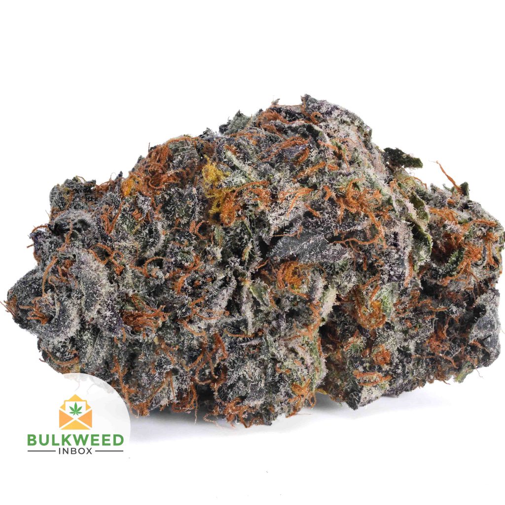 CRITICAL-MASS-AAA1-2
