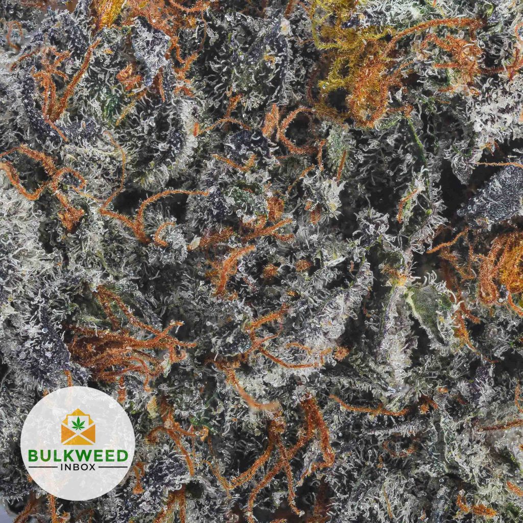 CRITICAL-MASS-AAA2-2