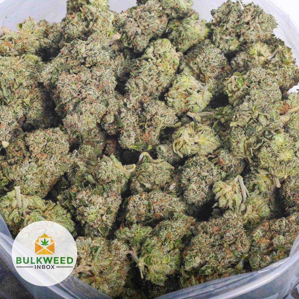 DEATH-BUBBA-AAAA-2