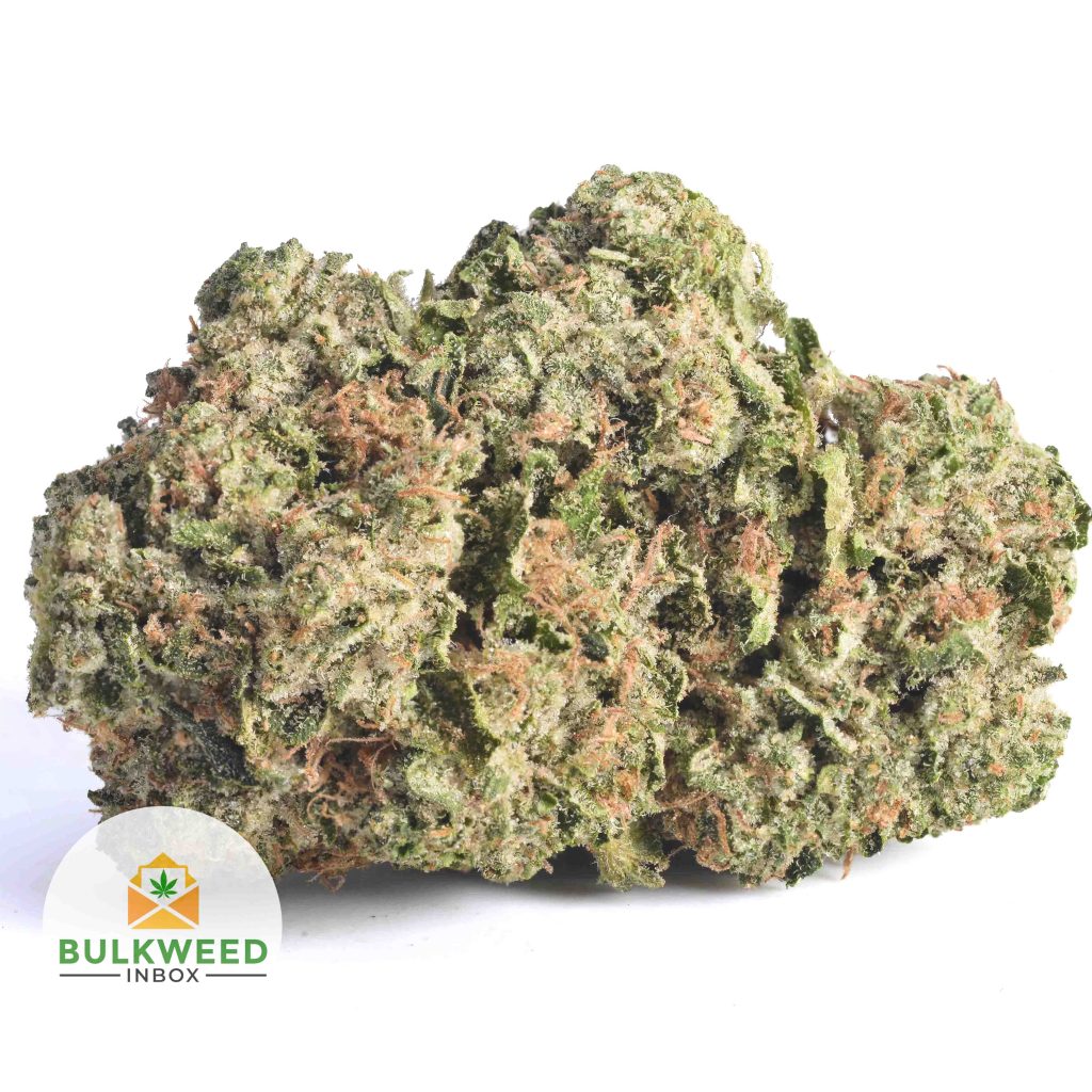 DEATH-BUBBA-AAAA1-2