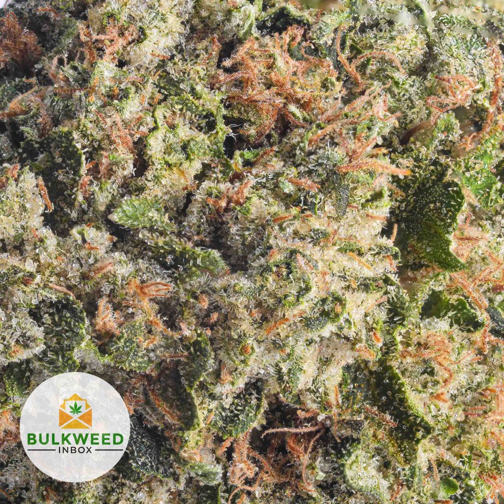 DEATH-BUBBA-AAAA2-2