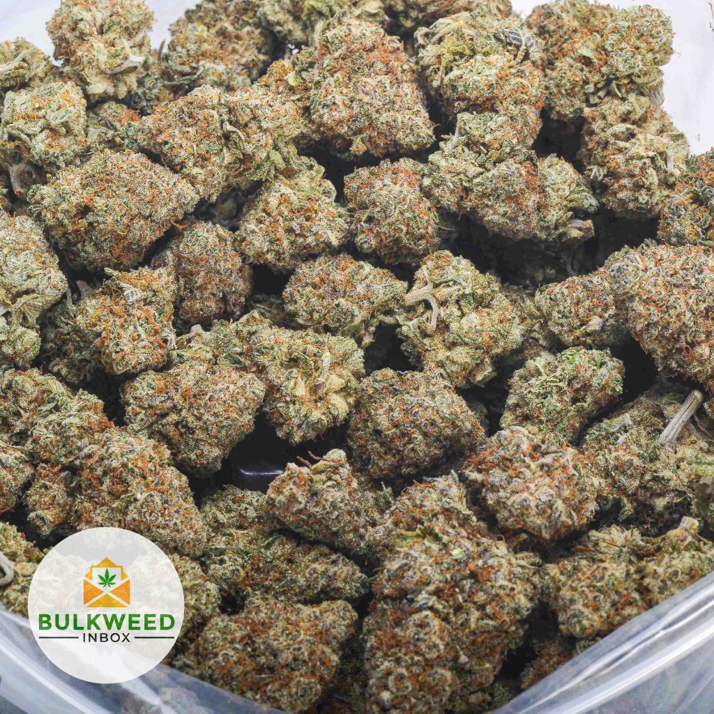 DEATH-COOKIES-AAA-2