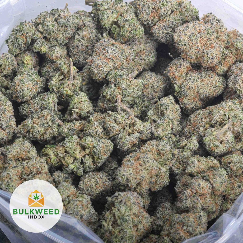 FROSTED-FRUIT-CAKE-Budget-Bud-AAAA-2