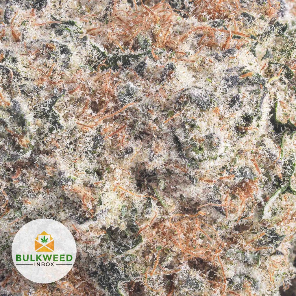 FROSTED-FRUIT-CAKE-Budget-Bud-AAAA2-2