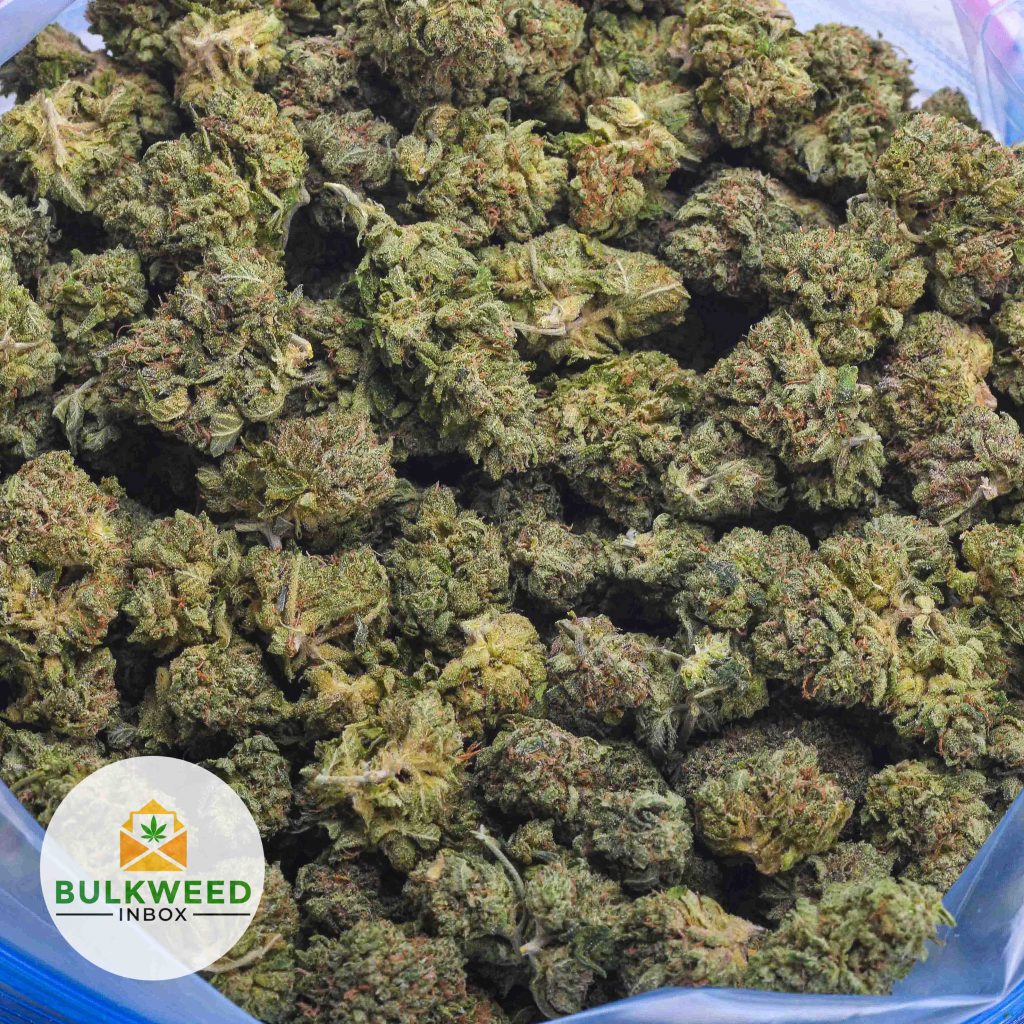 GALACTIC-DIESEL-POPCORN-AAA-2