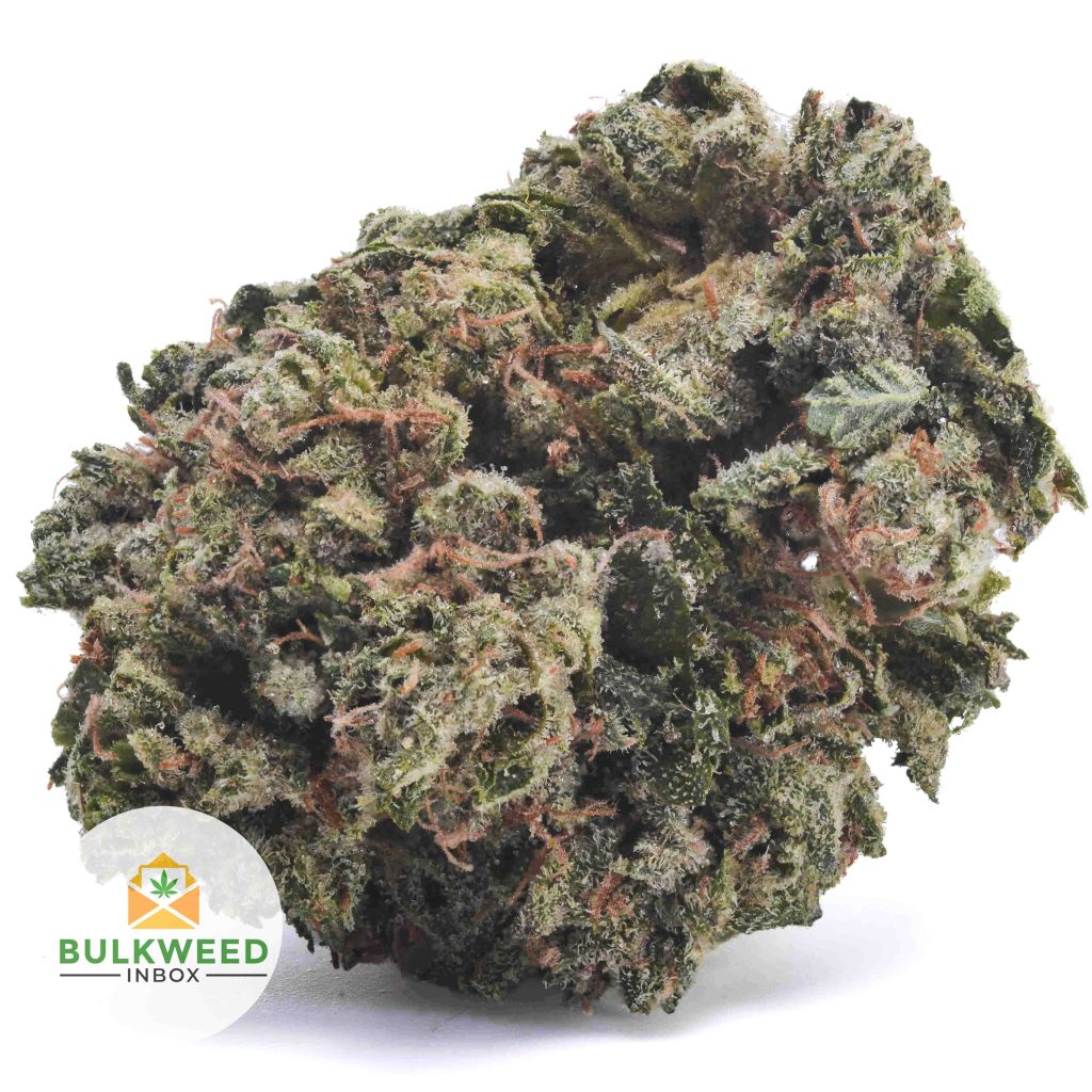 GALACTIC-DIESEL-POPCORN-AAA1-2