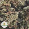 GALACTIC-DIESEL-POPCORN-AAA1-3