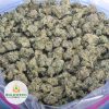 GOD_S-GREEN-CRACK-POPCORN-AAA-2