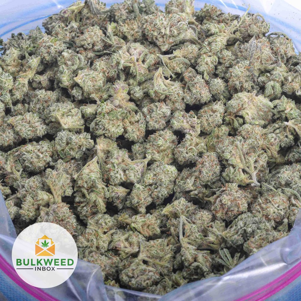 GOD_S-GREEN-CRACK-POPCORN-AAA-2