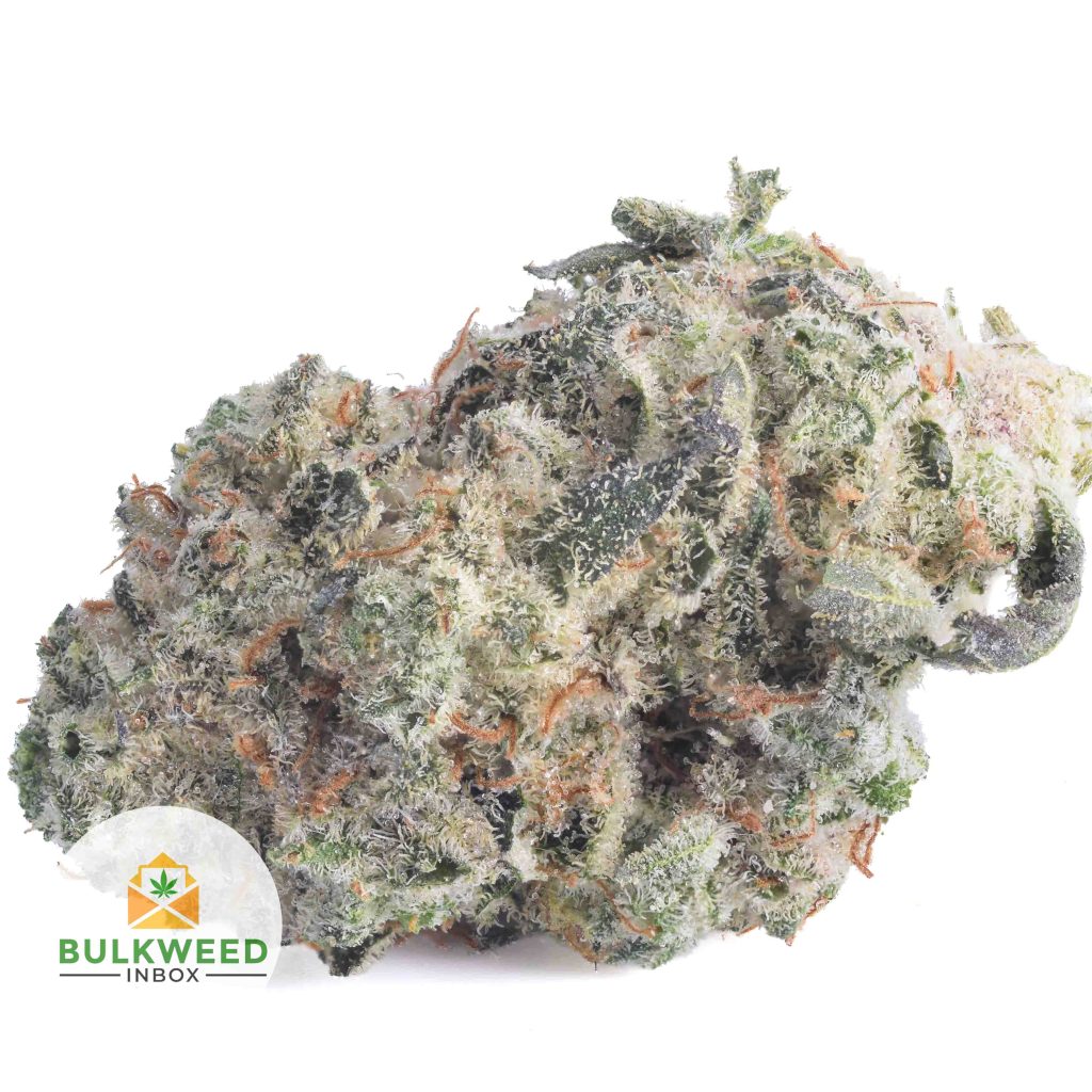 GOD_S-GREEN-CRACK-POPCORN-AAA1-2