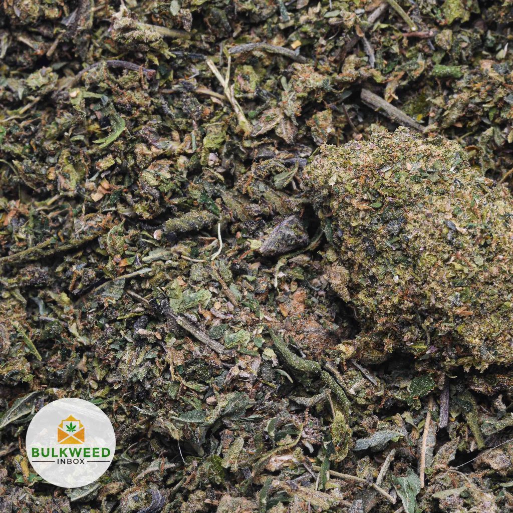 Holy-Grail-Shake-Weed-