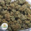 KING-KUSH-AA-2
