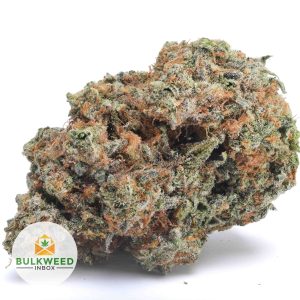 KING-KUSH-AA1-2