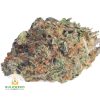 NYC-DIESEL-Budget-Bud1-2