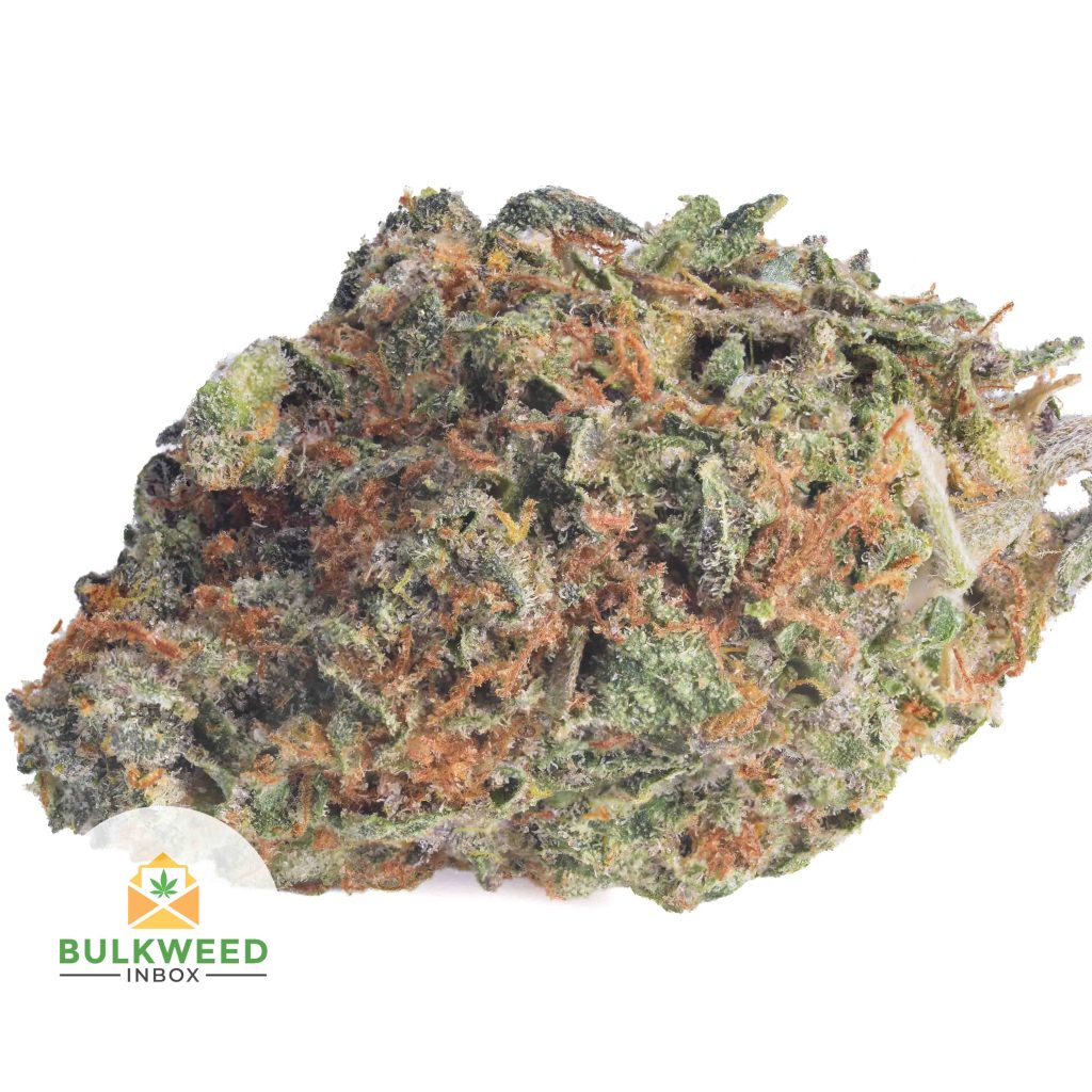 NYC-DIESEL-Budget-Bud1-2