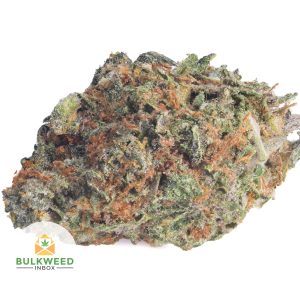 NYC-DIESEL-Budget-Bud1-2