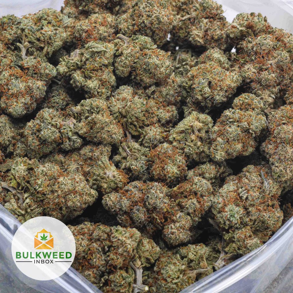 PLATINUM-HAZE-AAA-2