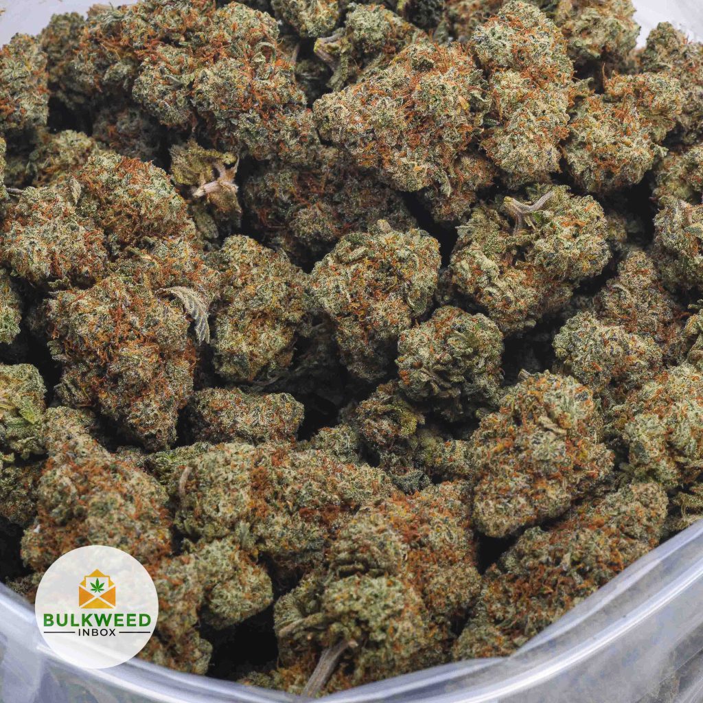 PURPLE-DEATH-BUBBA-AAA-2