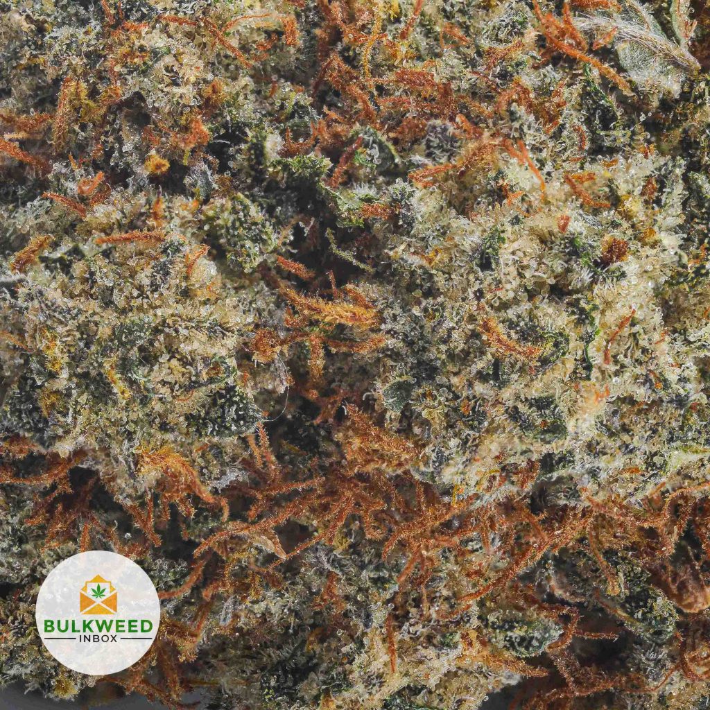 PURPLE-DEATH-BUBBA-AAA2-2
