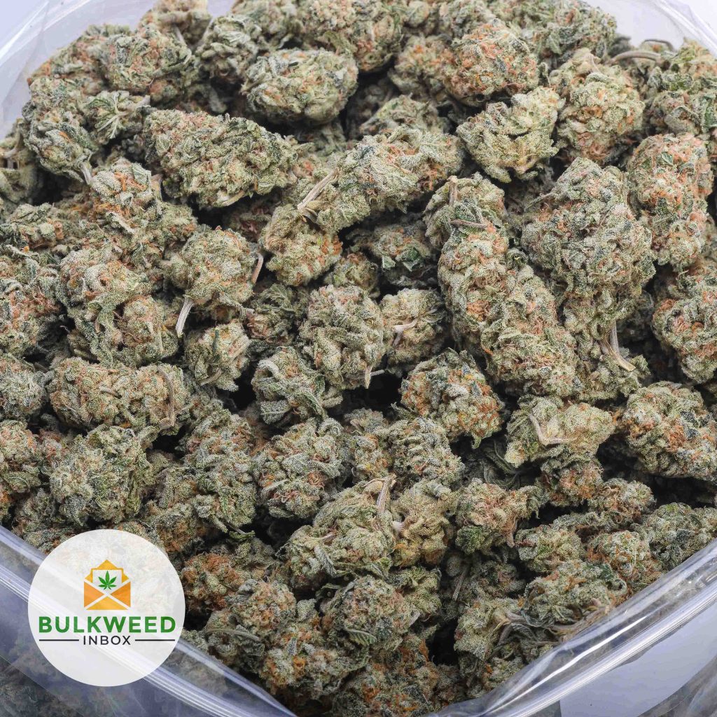 SILVER-HAZE-Budget-Bud-2